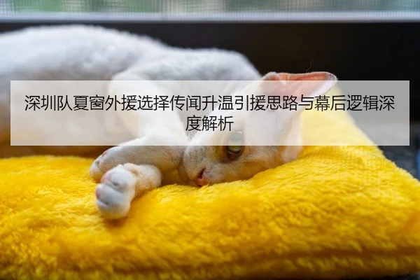 深圳队夏窗外援选择传闻升温引援思路与幕后逻辑深度解析